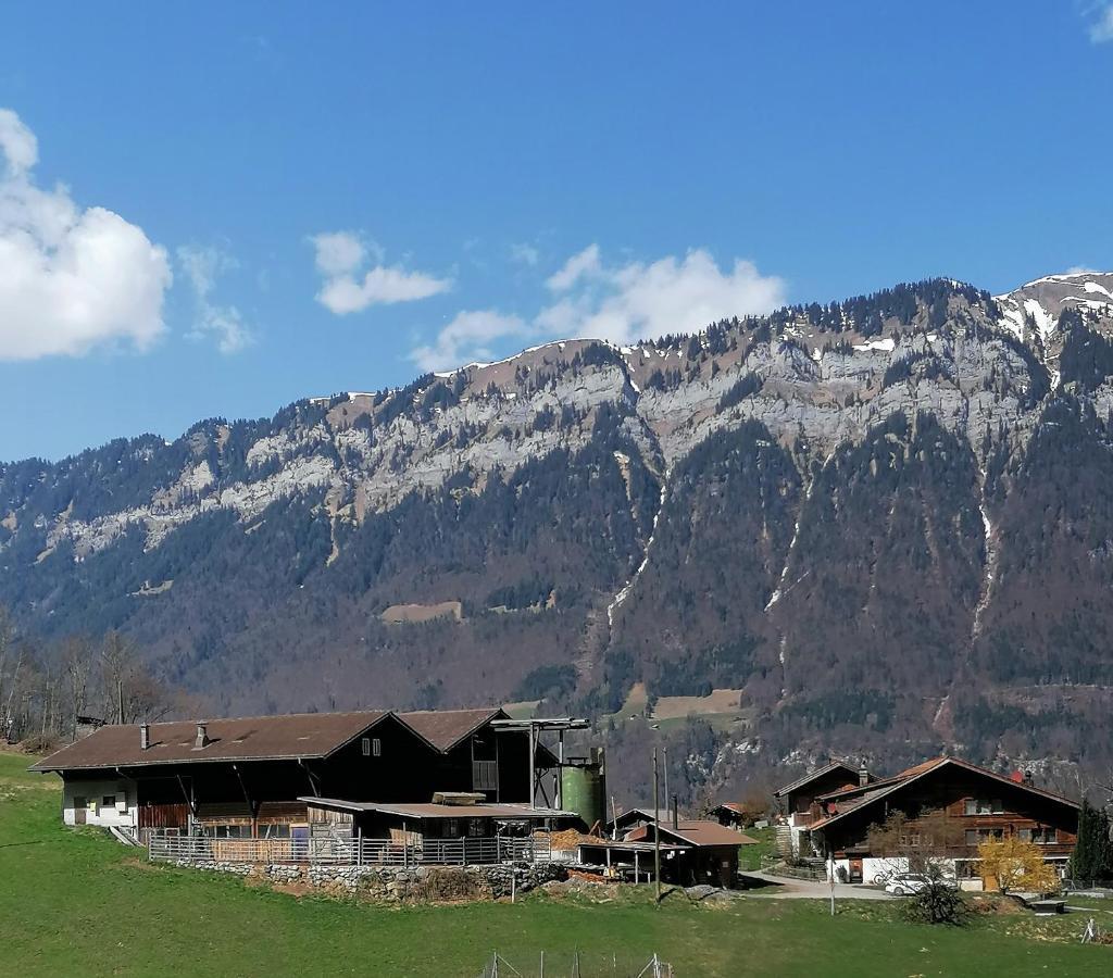 Appartamento Brunners Harzerhof Iseltwald Esterno foto