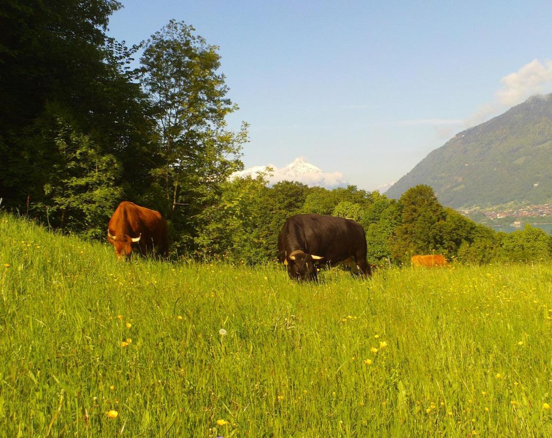 Appartamento Brunners Harzerhof Iseltwald Esterno foto